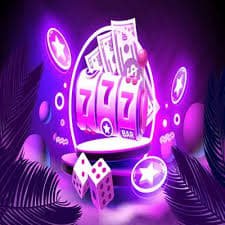 556bet login