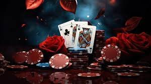 556bet login