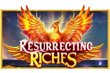 556bet login